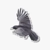 Watercolor Black Flying raven sticker