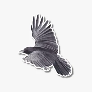 Watercolor Black Flying raven sticker