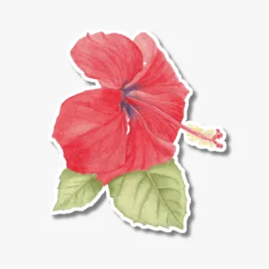 Red hibiscus vinyl sticker on white background