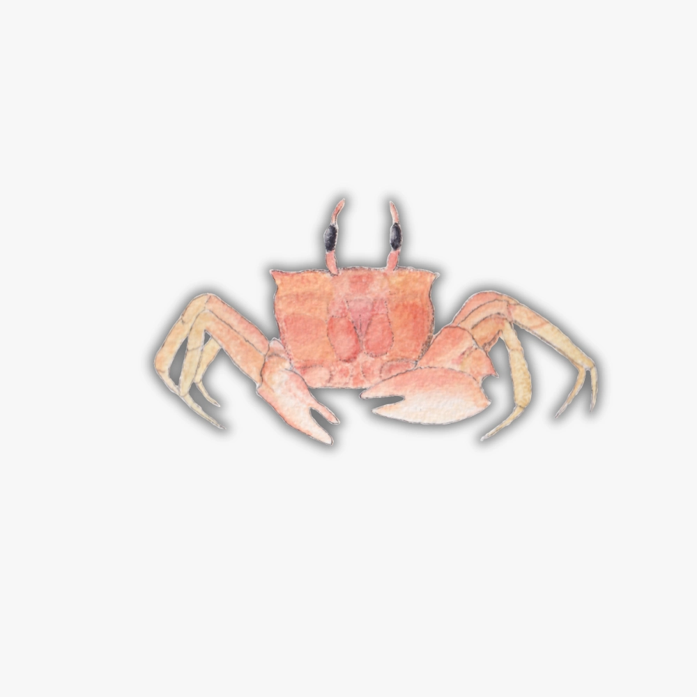 Ocean crab vinyl sticker