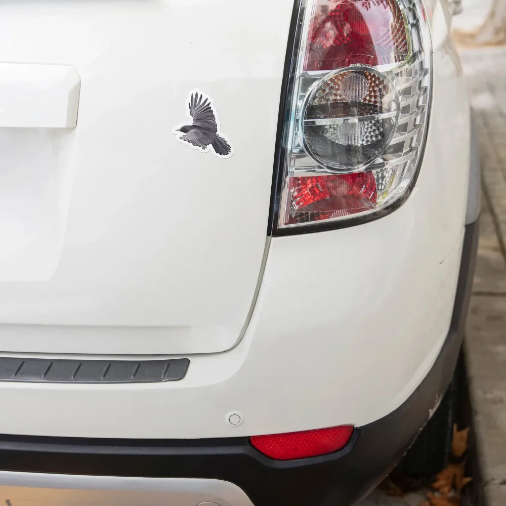 Flying black raven vinyl sticker on car