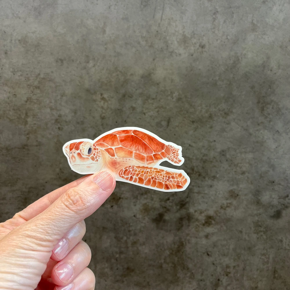 Watercolor Sea turtle vinyl sticker held in hand