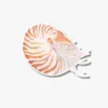 Sea nautilus vinyl sticker
