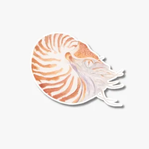 Sea nautilus vinyl sticker