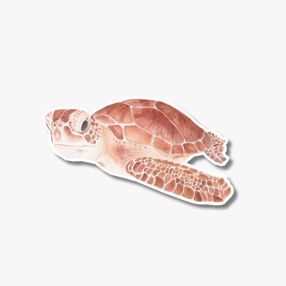 Sea turtle sticker on a laptop
