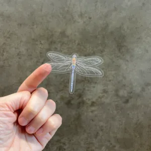 Hand-painted Dragonfly Clear Sticker held in hand