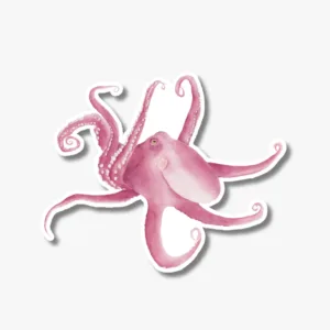 Watercolor Sea Octopus Sticker on White Background