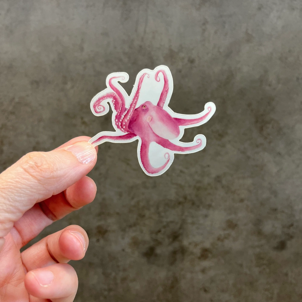 Cute Sea octopus vinyl sticker held in hand