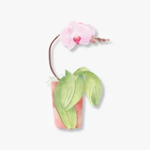 Watercolor Orchid Sticker in Hand