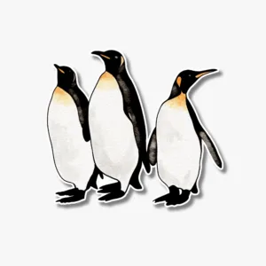 Watercolor King Penguin sticker for car
