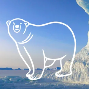 Polar Bear Decal Sticker contour on nature background