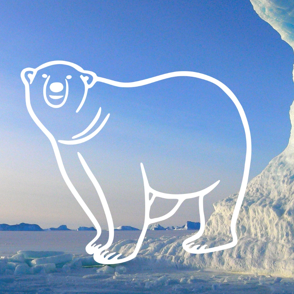 Polar Bear Decal Sticker contour on nature background