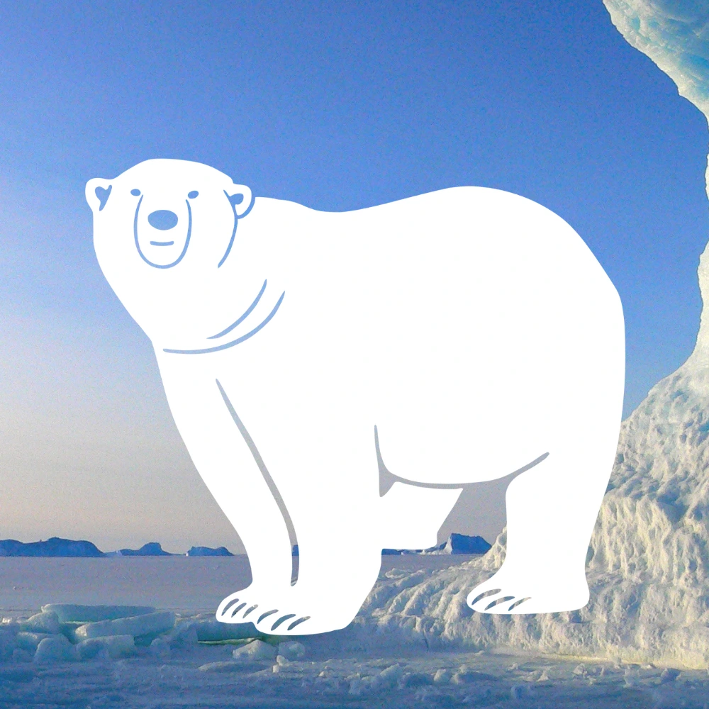 Handcrafted polar bear vinyl decal