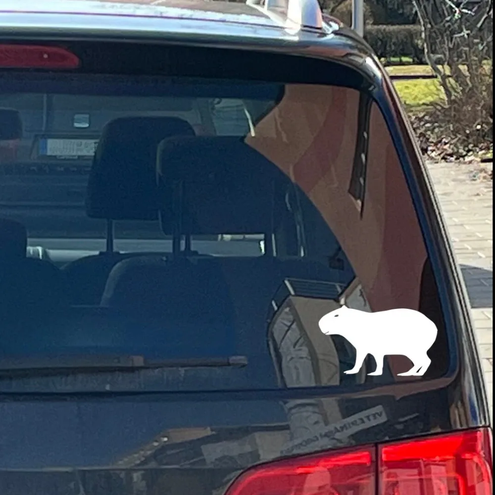 Handcrafted capybara vinyl decal on car window