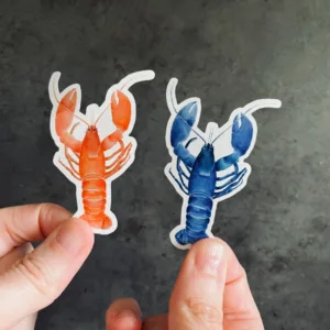 Lobster Sticker Set held in hands
