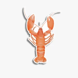 Waterproof orange lobster sticker decal with vibrant details.