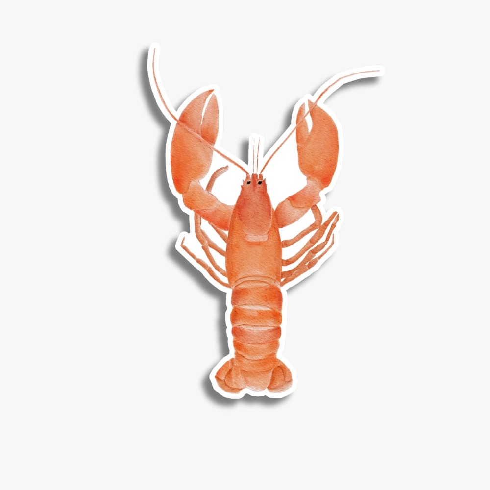 Waterproof orange lobster sticker decal with vibrant details.