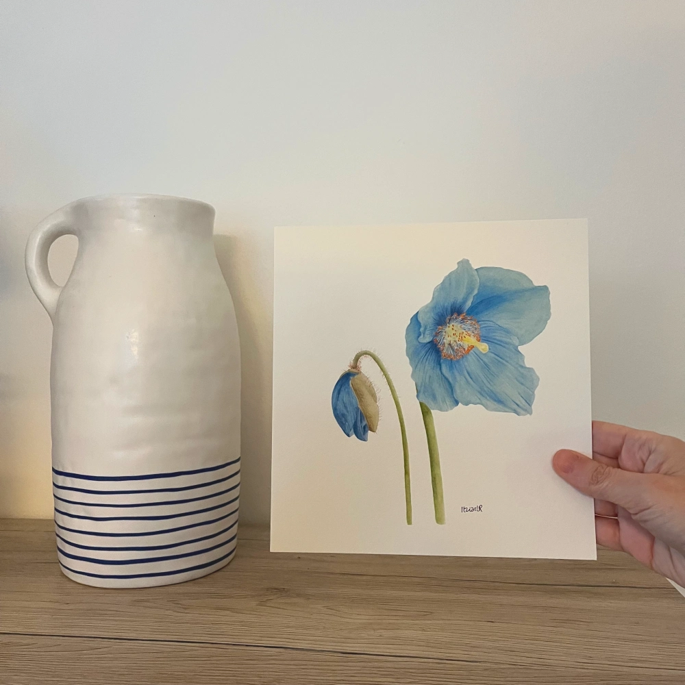 Blue poppy art print from hand-painted artwork on 100% cotton archival paper with fade-resistant colors, hand-signed for authenticity.