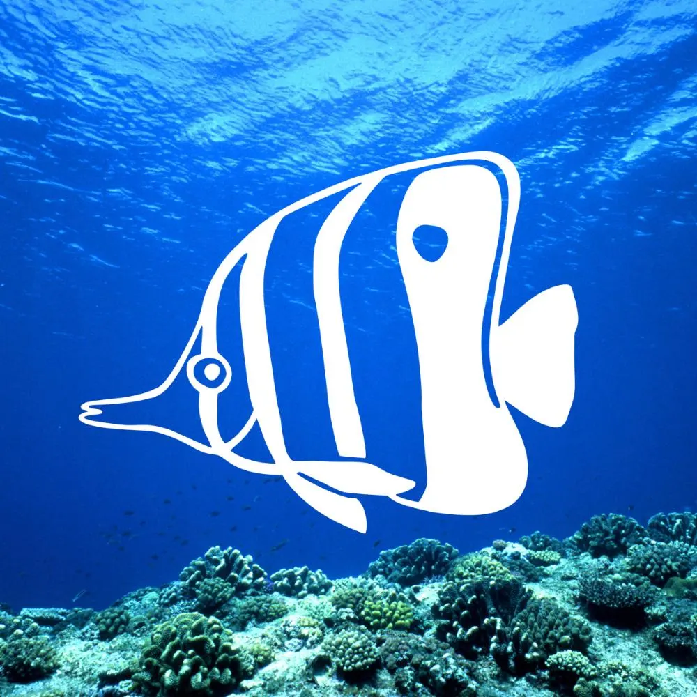 Fish Car Decal